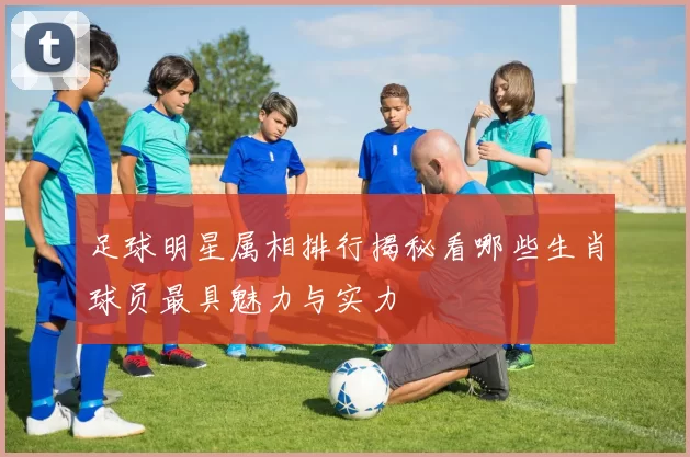 足球明星属相排行揭秘看哪些生肖球员最具魅力与实力