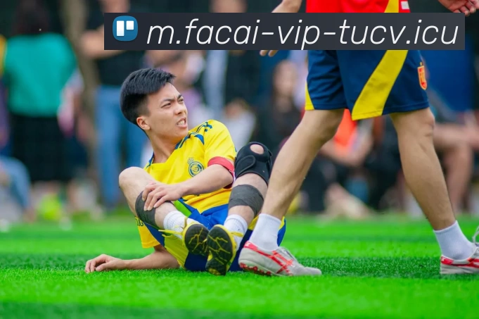 华体会体育品牌故事