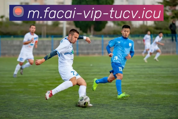 华体会体育服务体系